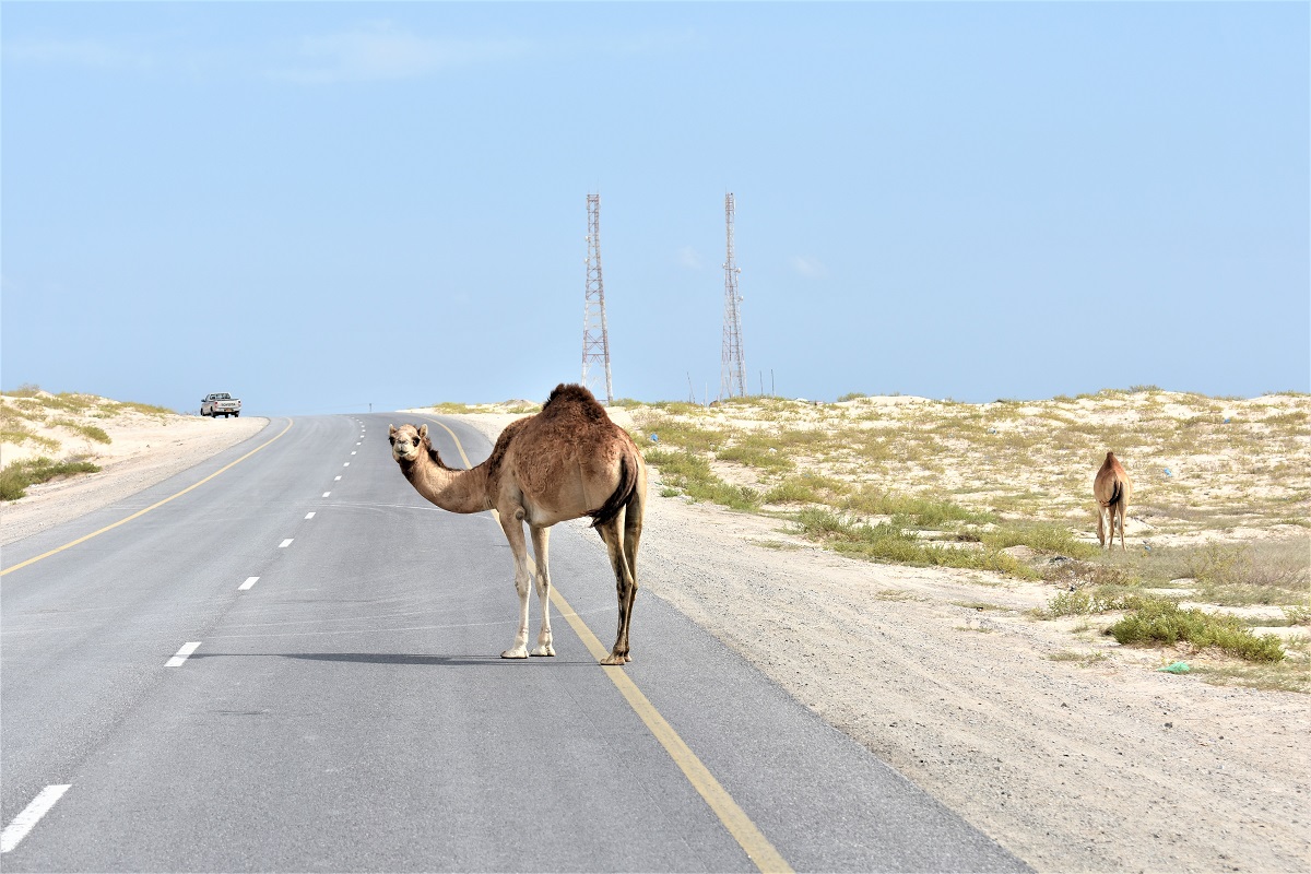 Organizzare un viaggio in Oman