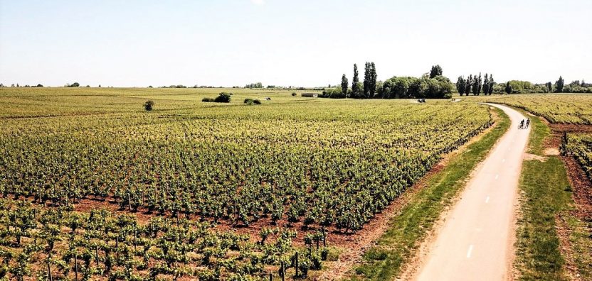 Lungo la strada dei vini: l’itinerario del mio viaggio in Borgogna