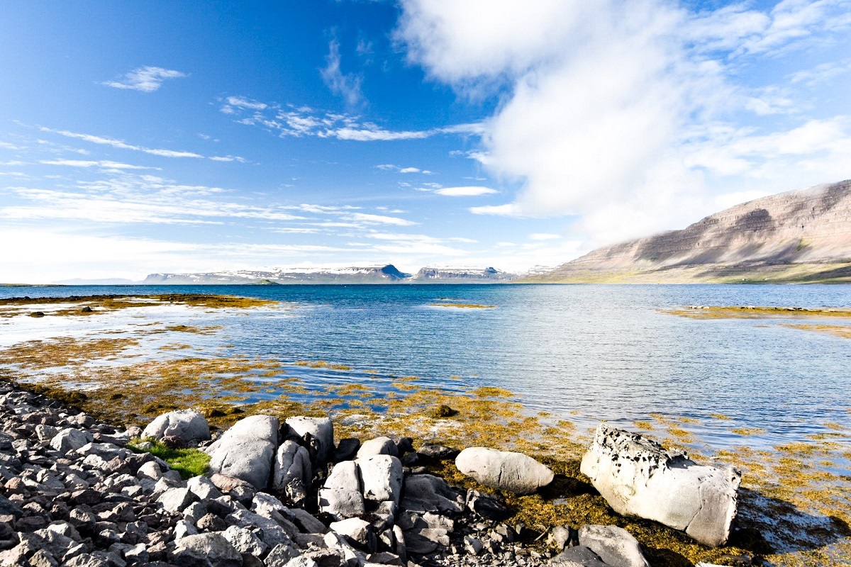 Dai fiordi occidentali al sud dell'Islanda