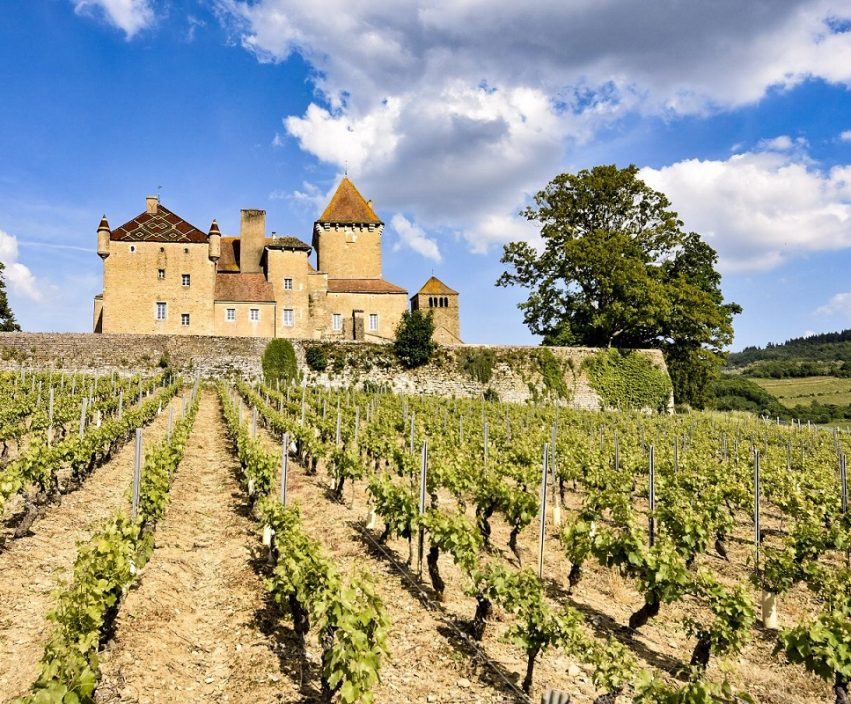 Borgogna, un ritorno tra abbazie e vigneti
